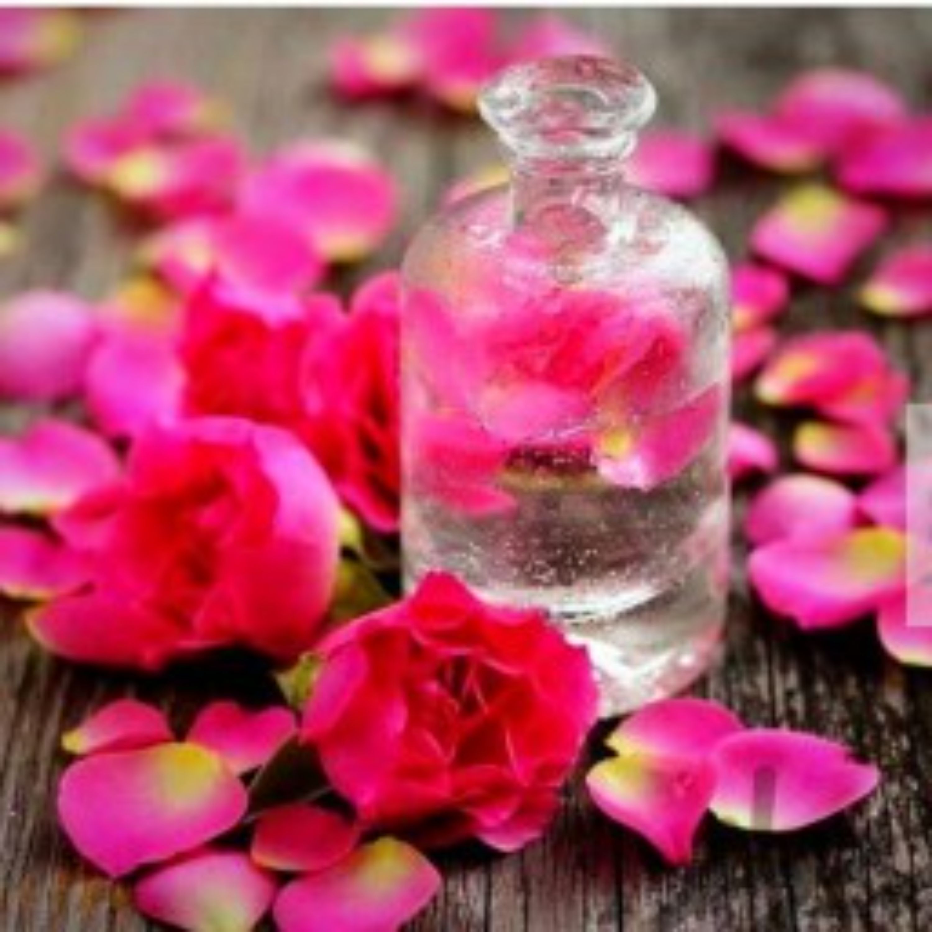 گلاب فشرده درجه یک کاشان یک لیتری