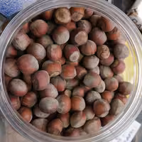 فندق خام 75 گرم