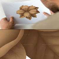 نقاشی دیجیتال گل سوسن | گرافیک با طعم تربچه