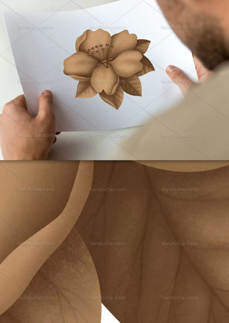 نقاشی دیجیتال گل سوسن | گرافیک با طعم تربچه