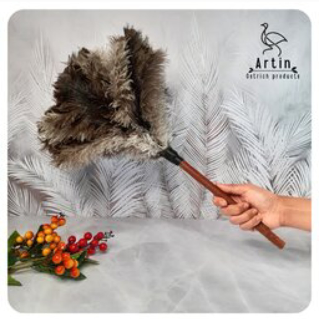 پک 10عددی گردگیر پر  شتر مرغ فروش  عمده 