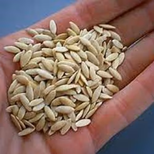 تخم خیار 100 گرمی
