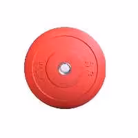 صفحه هالتر 25 کیلوگرمی کراس فیت(CROSSFIT) در بسته دو عددی کد QE5