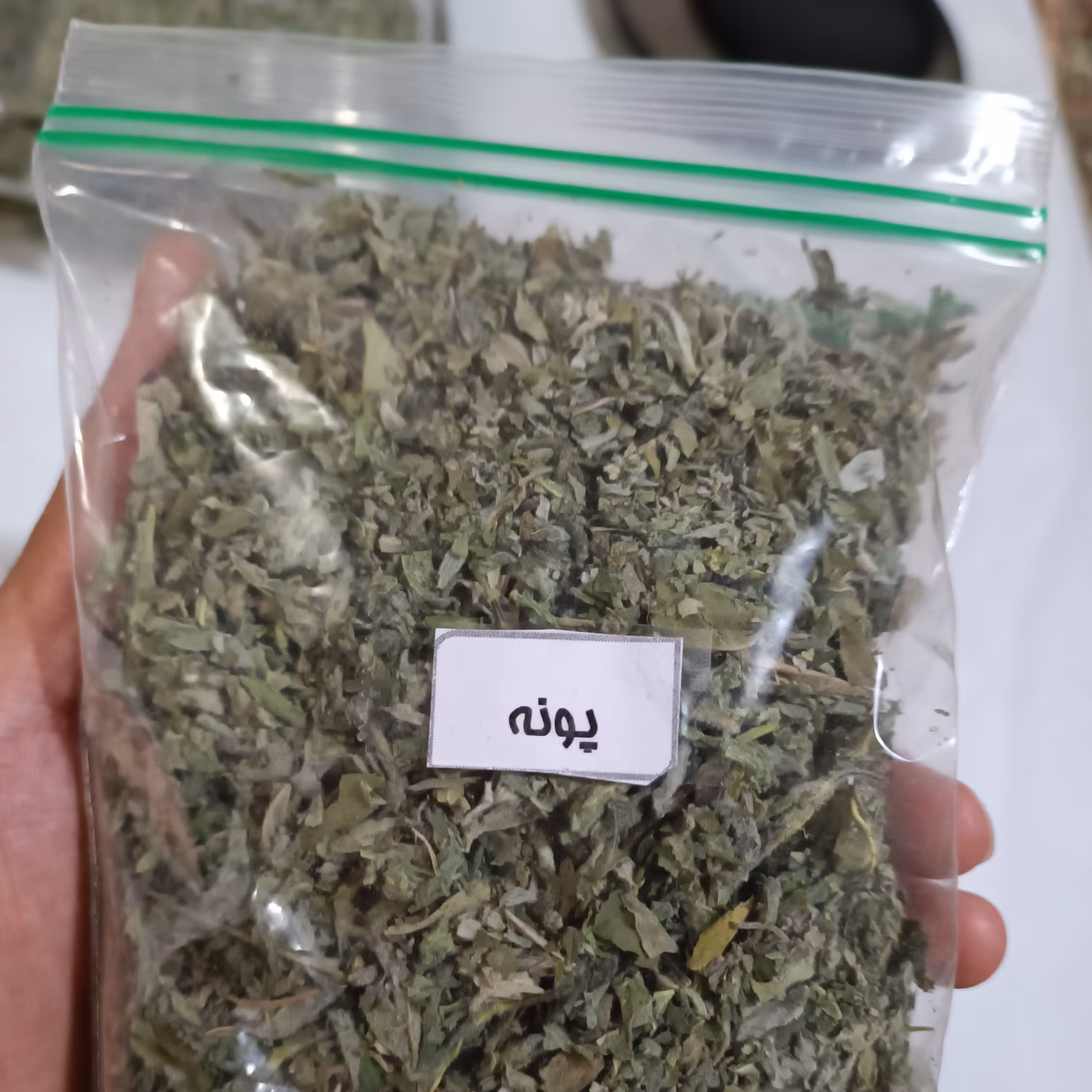 پونه کوهی خشک شده 50 گرمی تازه و معطر  خراسان شمالی شیروان