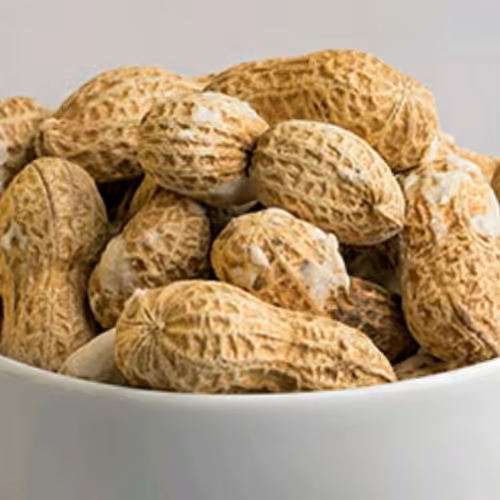 بادام زمینی با پوست نمکی آستانه اشرفیه