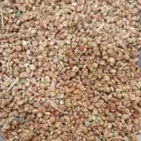 سماق قلم - 1 کیلو