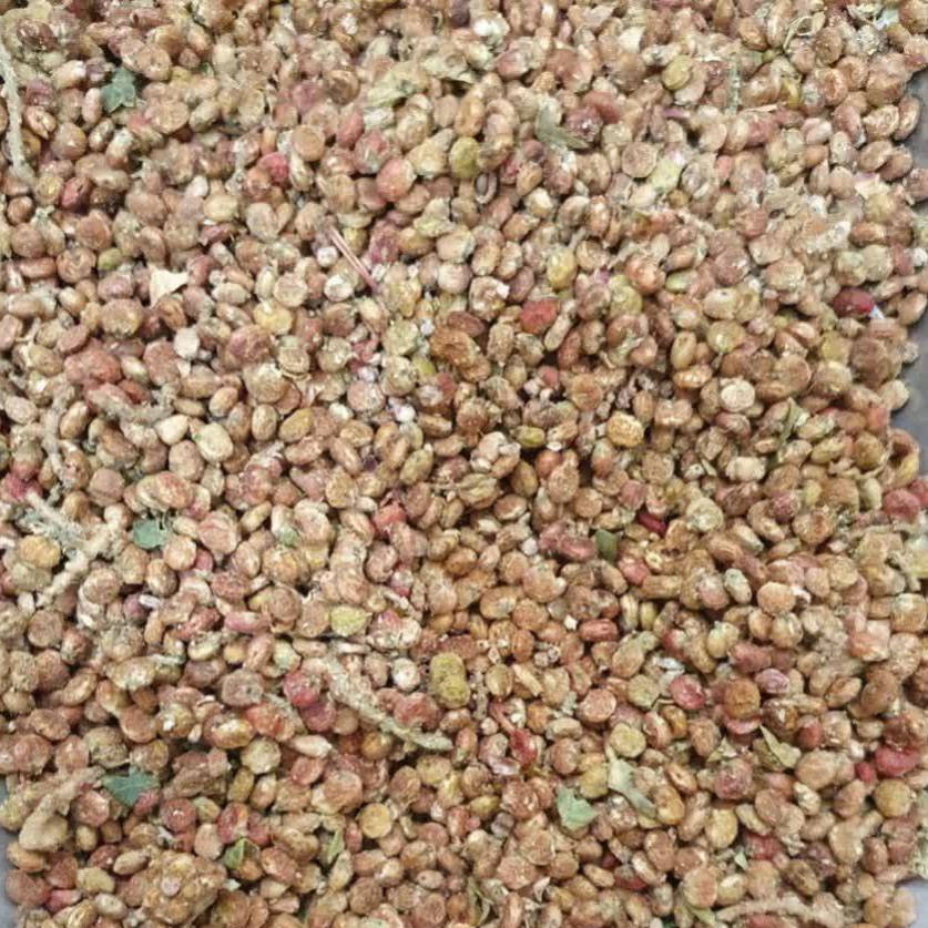 سماق قلم - 1 کیلو