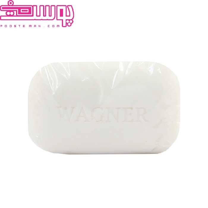 پن انواع پوست واگنر 100 گرم