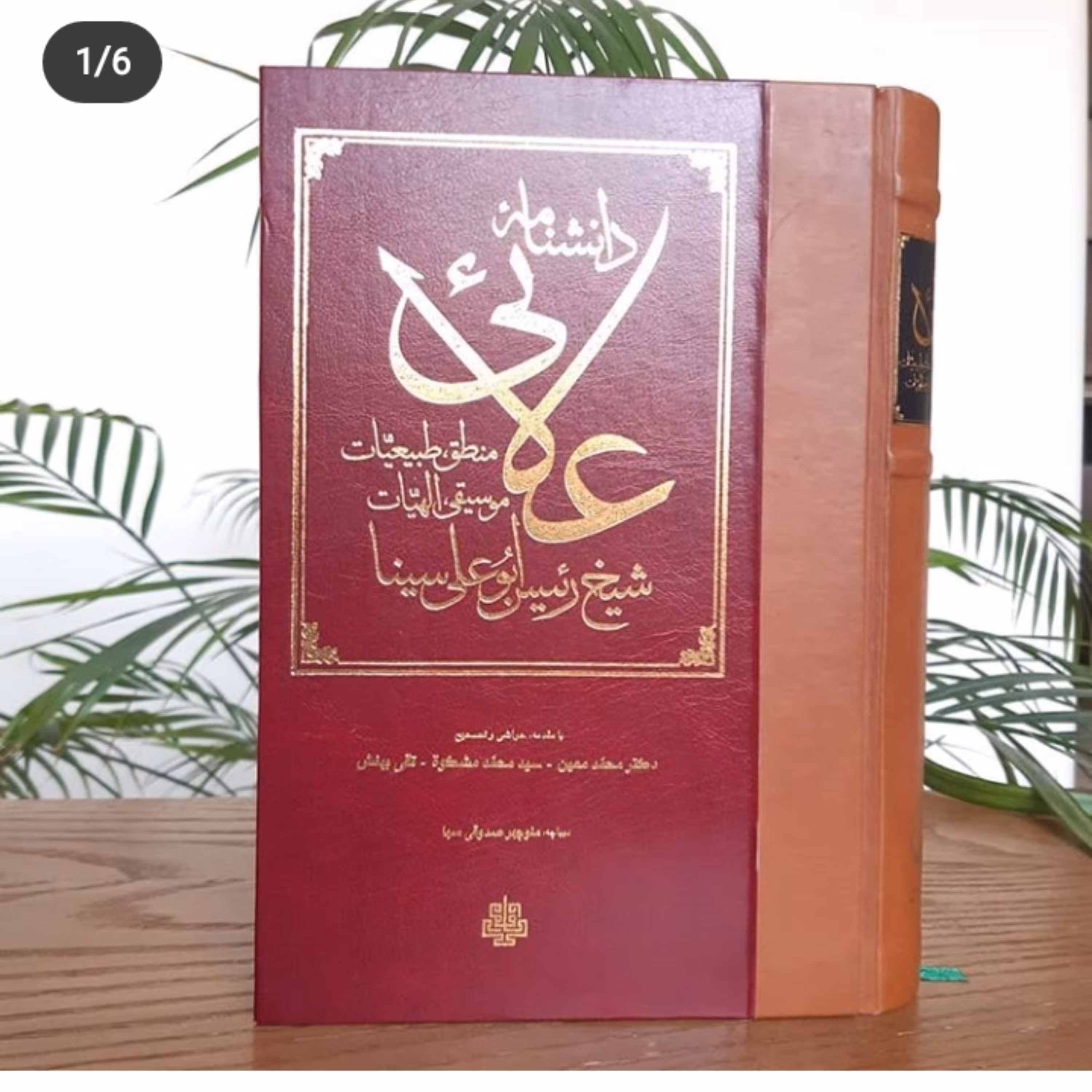 کتاب دانشنامه علائی اثر حکیم ابن سینا نشر مولی