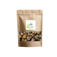 آلو بخارا خراسان  (550گرم) ارگانور