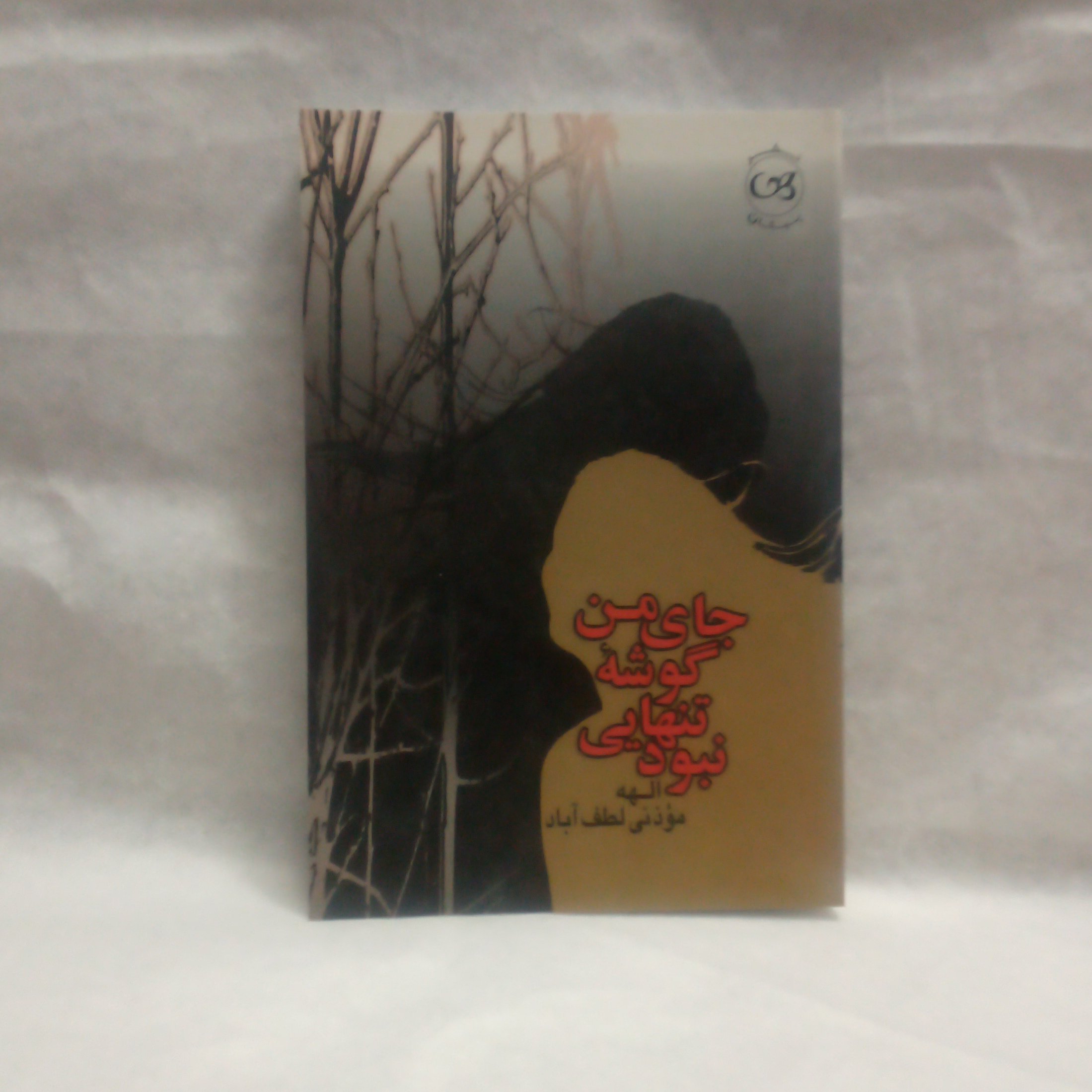 رمان جای من گوشته تنهایی نبودنوشته الهه موذنی لطف آبادچاپ1387