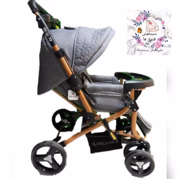 کالسکه دلیجان مدل بنیتا بدنه گلد