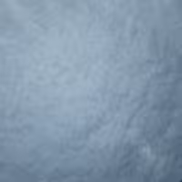 پودر نارگیل خشک 100گرمی