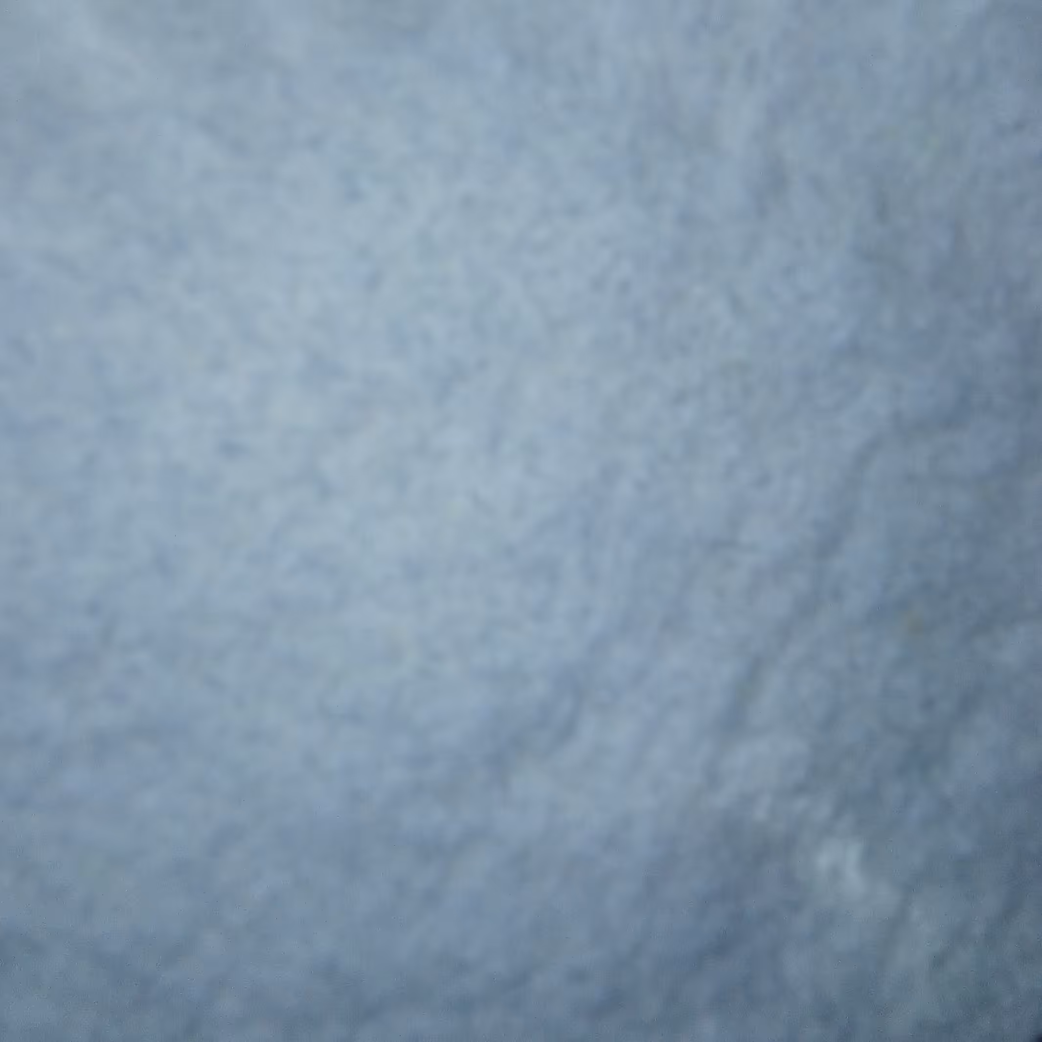 پودر نارگیل خشک 100گرمی