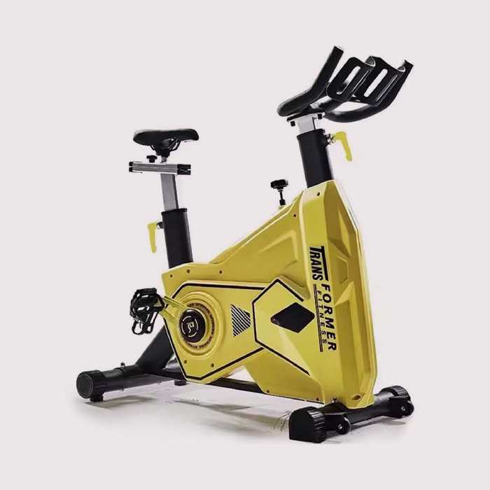 دوچرخه اسپینینگ باشگاهی تایگر اسپرت مدل 1031