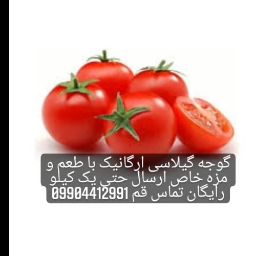 گوجه گیلاسی اب شیرین