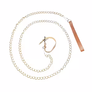 قلاده مخصوص سنجاب