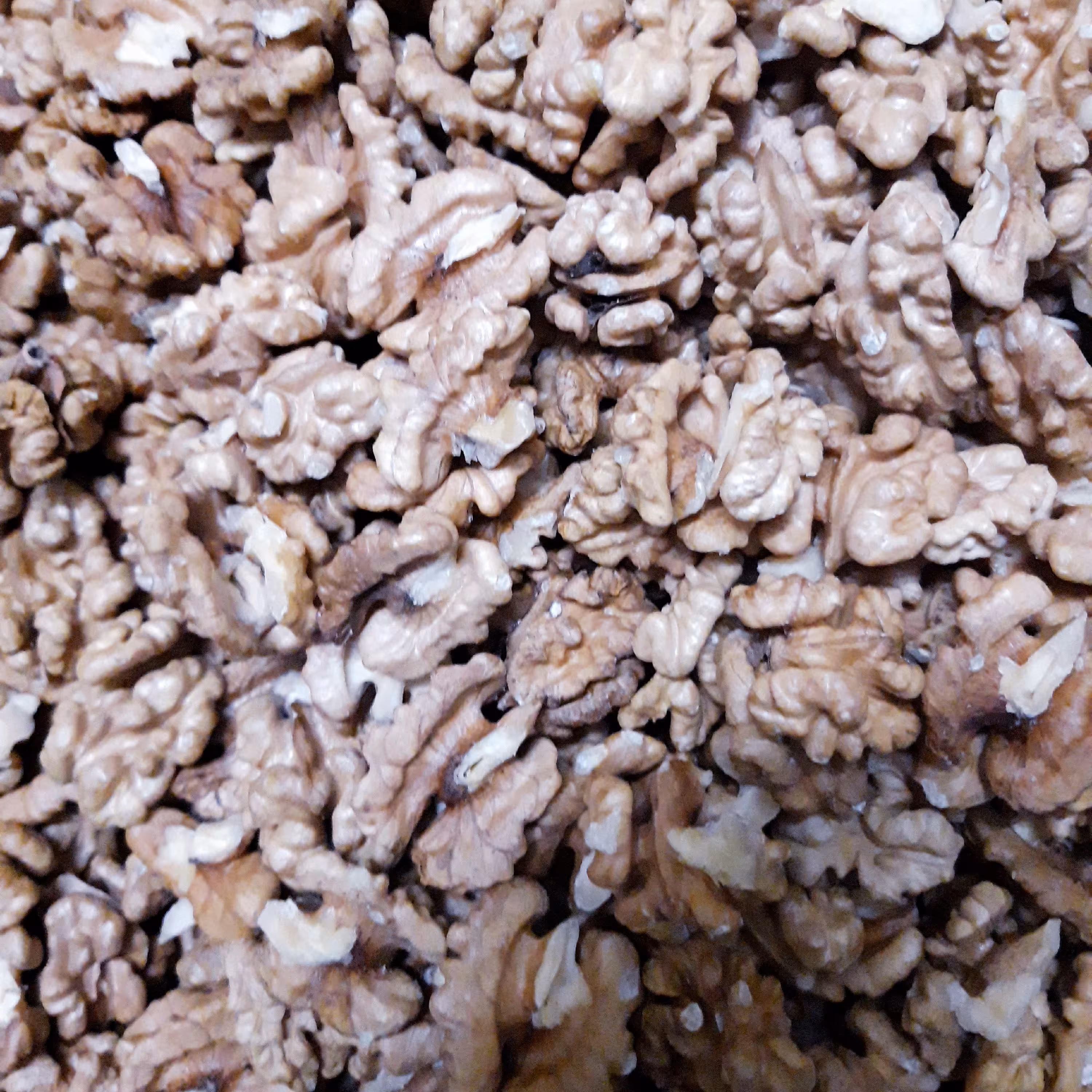 مغز گردو ایرانی بومی چرب بسیار خوش طعم سفید معمولی