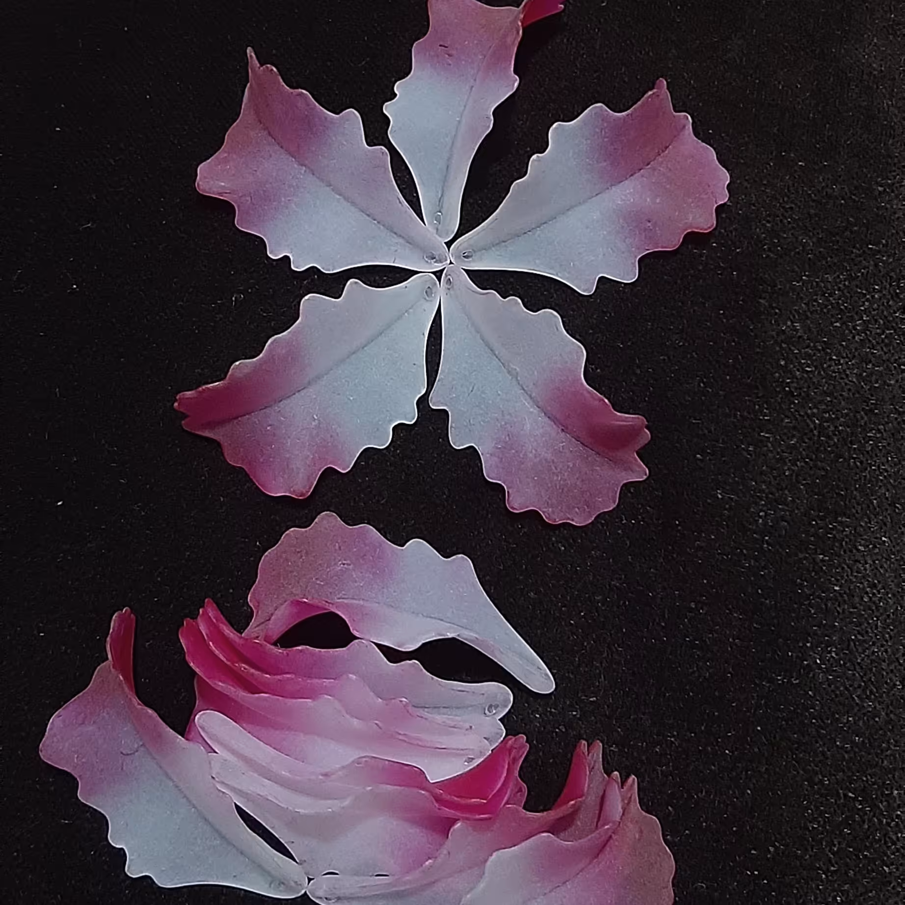 گل کریستال . لیلیوم مات دو رنگی . وارداتی . بسته 15 عددی 