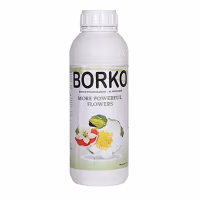 کود بور بورکو کیمیتک اسپانیا