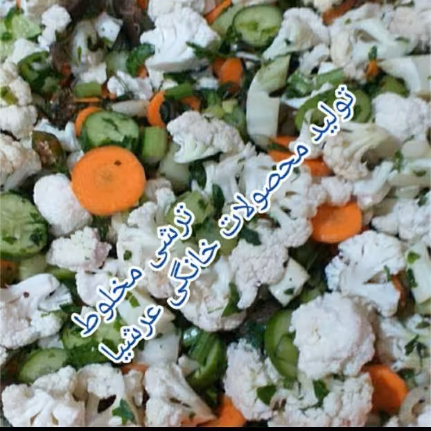 ترشی مخلوط خانگی 