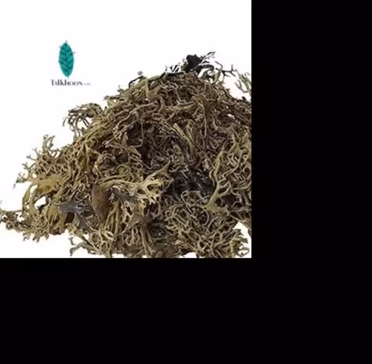 گیاه اوشنه اصل خشک شده خارجی 