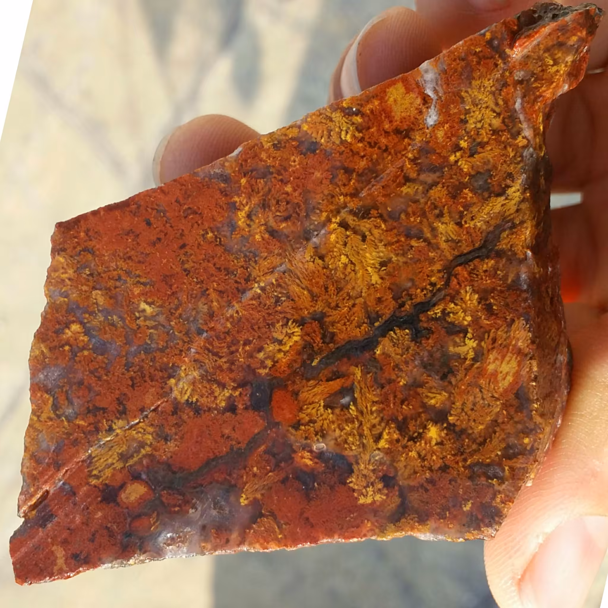 اسلایس سنگ راف عقیق شجر منظره 7رنگ بسیار دیدنی شاهکار خلقت کاملا طبیعی
با قابلیت ساخت چند نگین محشر
کد 8196