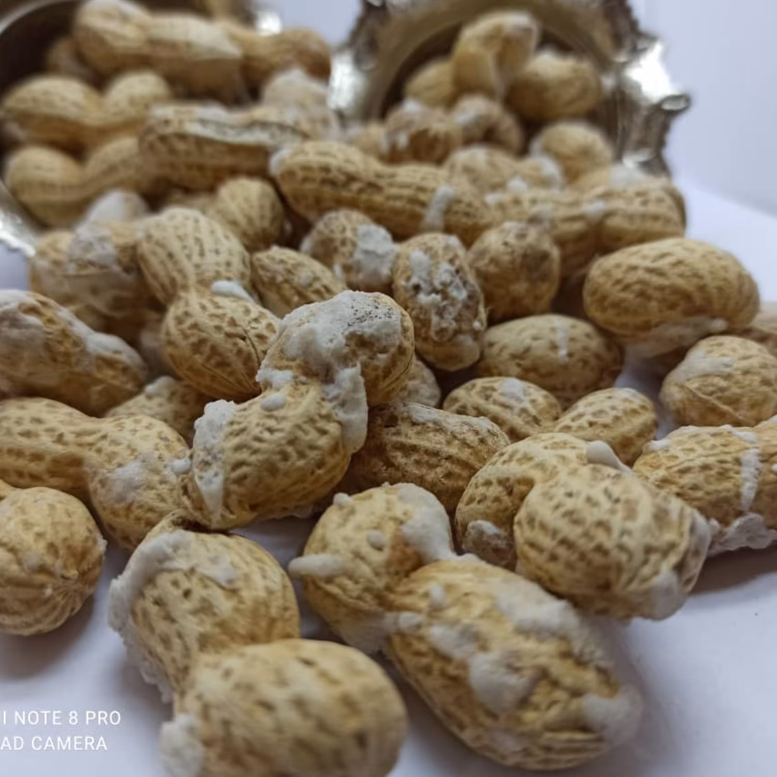 بادام زمینی باپوست یک کیلویی