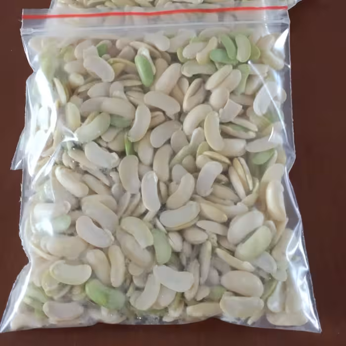 باقالی کشاورزی گیلان( پاک شده)