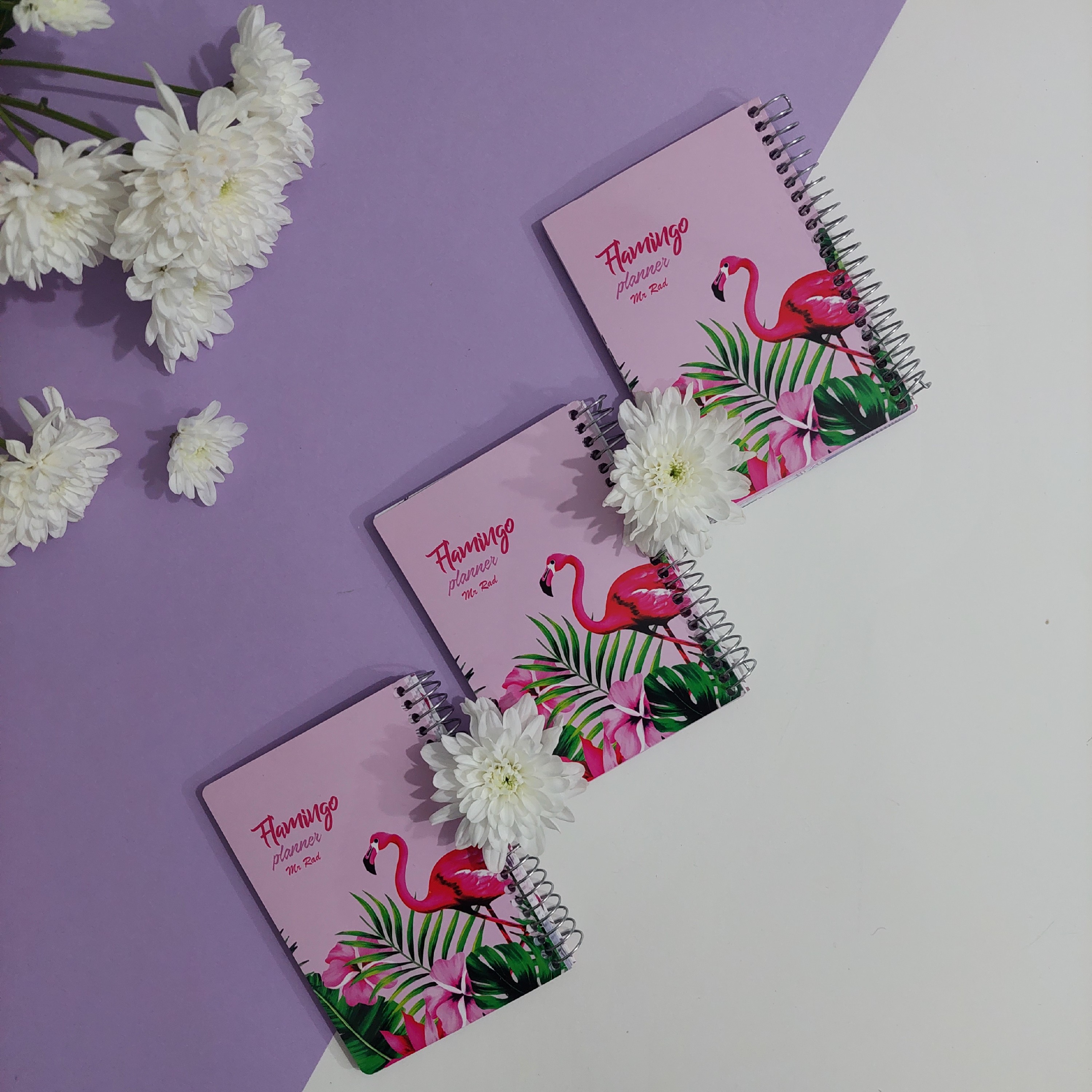 دفتر برنامه ریزی طرح فلامینگو