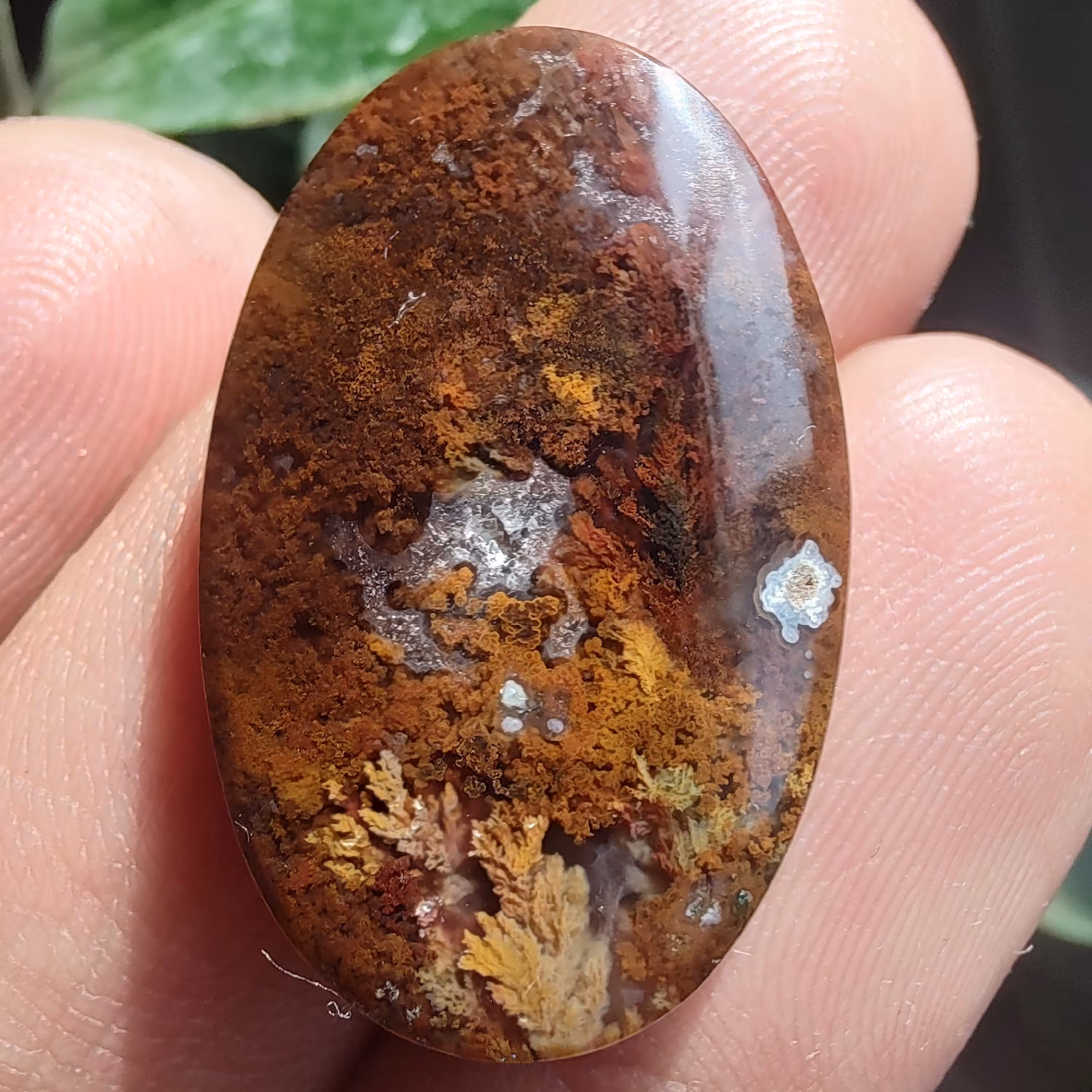 نگین جاسپر  شجر پاییزه