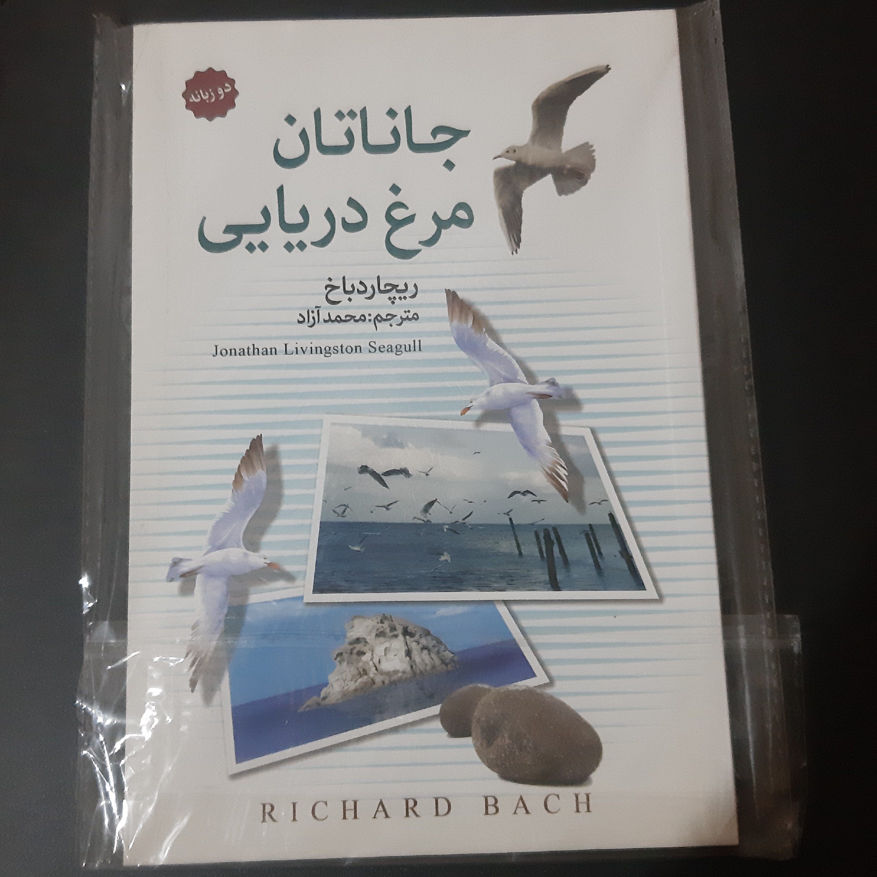 کتاب جاناتان مرغ دریایی