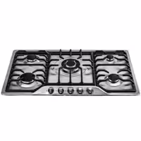 گاز صفحه ای مدل DG2200-5M استیل آنیل درسا