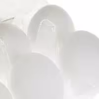 تخم مرغ روز 6 عددی