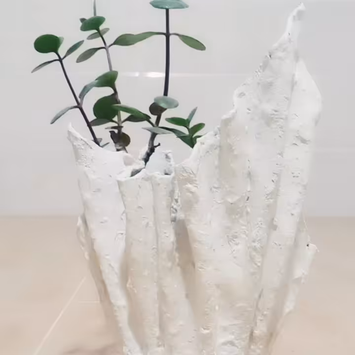 گلدان سایزکوچک