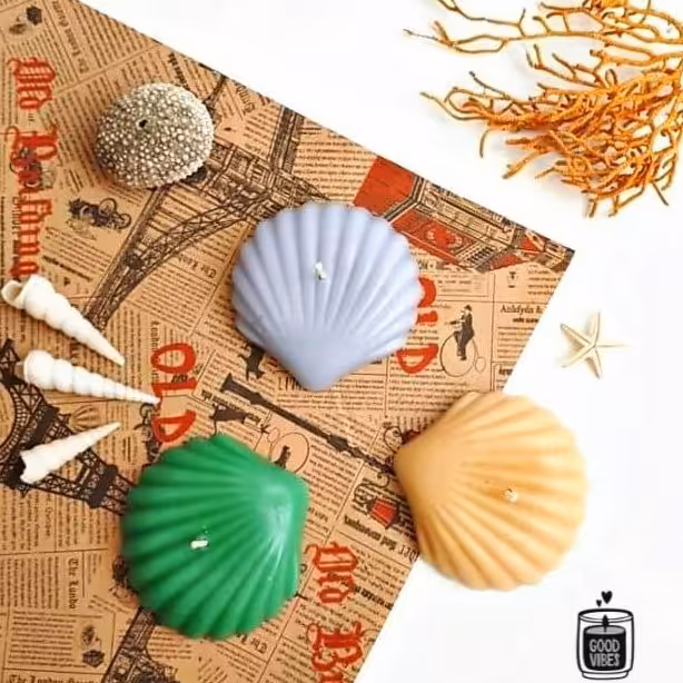 شمع صدف تخت