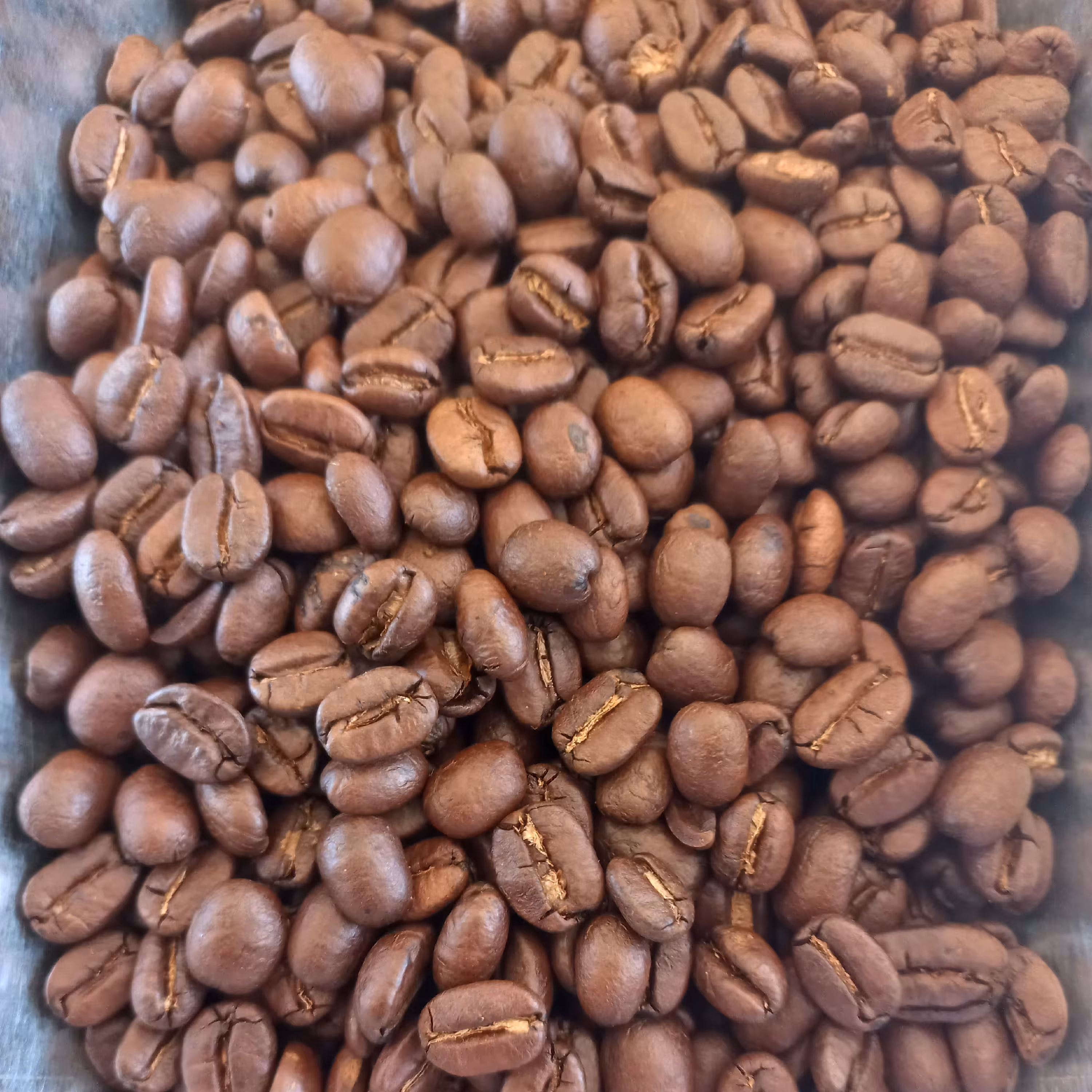 عربیکا نیکاراگوئه .ارسال رایگان 