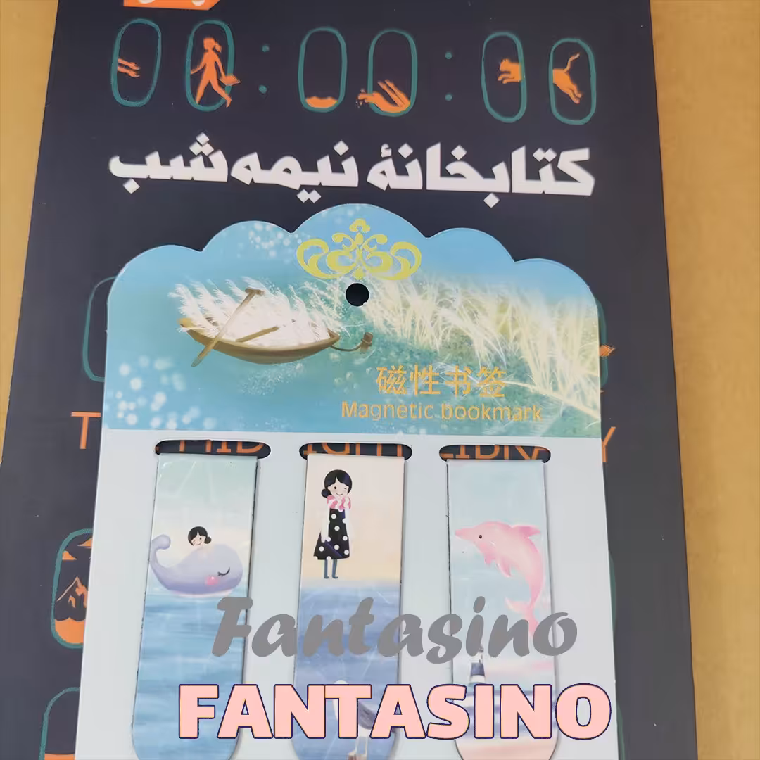 لوازم تحریر فانتزی بوکمارک مگنتی 6 عددی طرح متنوع
