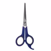 قیچی آرایشی مدل REL.ABI کد Y1654