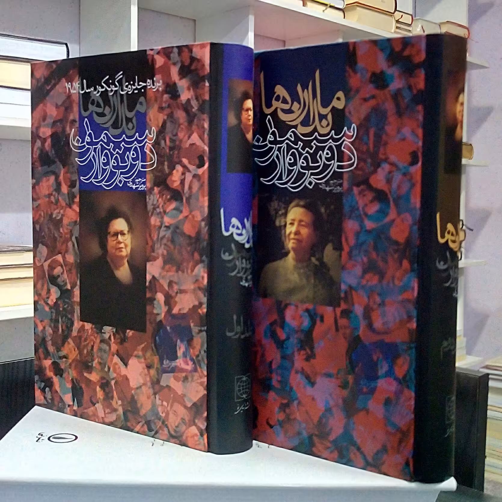 ماندارن ها ، رمان فرانسوی مدرن تاریخی فلسفی اگزیستانسیالیسم ، دو جلدی ، سیمون دوبووار ، پرویز شهدی .