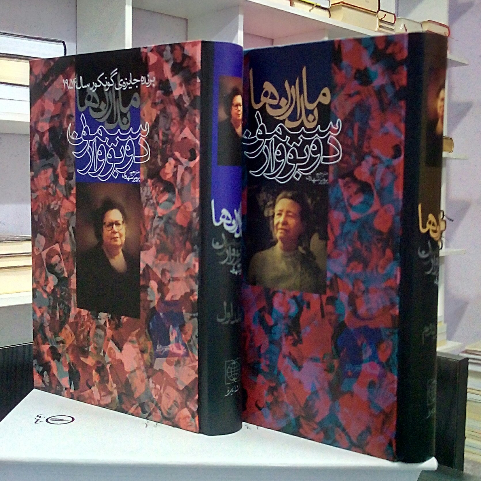 ماندارن ها ، رمان فرانسوی مدرن تاریخی فلسفی اگزیستانسیالیسم ، دو جلدی ، سیمون دوبووار ، پرویز شهدی .