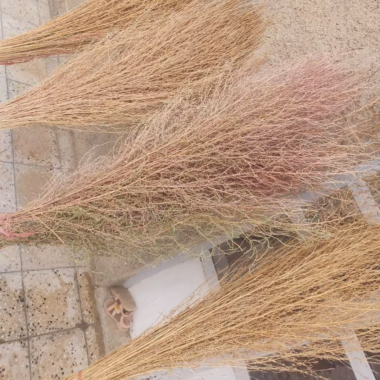 جاروی فراشی هزینه ارسال با مشتری ( پسکرایه )