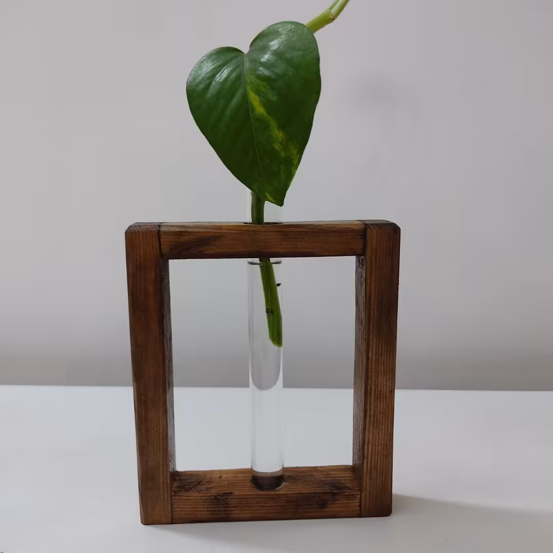 گلدان تک شیشه