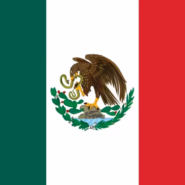 دان قهوه مکزیک اسپشیالیتی وراکروز  1000 گرمی