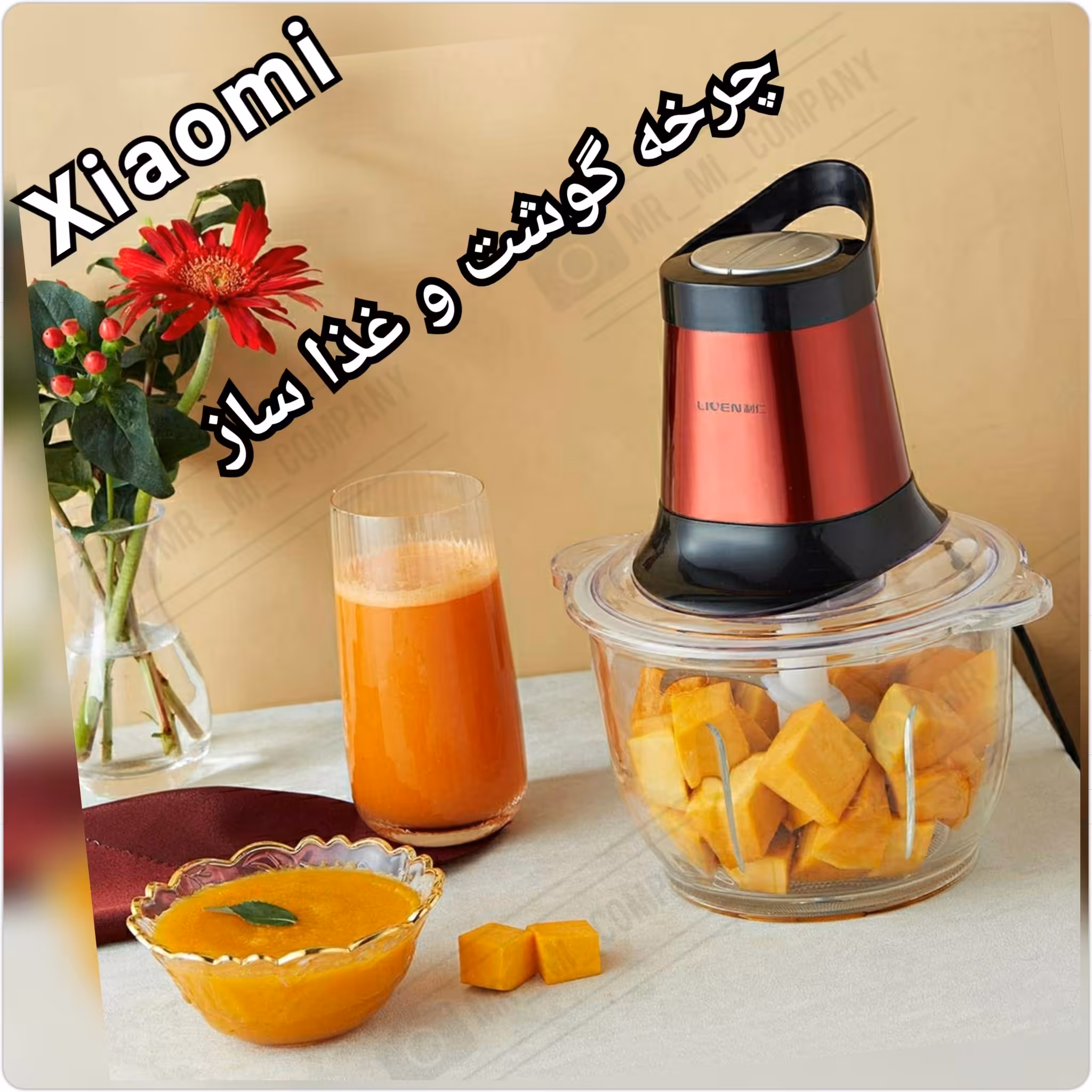 چرخ گوشت، خردکن و غذاساز شیائومی Xiaomi Liven Electric Meat Grinder JRJ-GW300