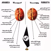 میکس دان قهوه  50 درصد ربوستا  50 درصد عربیکا