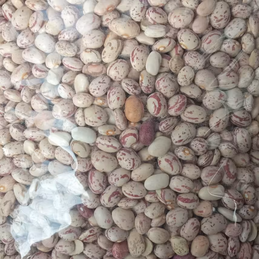 لوبیا چیتی پاک شده بهداشتی، ممتاز و اعلا ،بسته حبوبات یک کیلویی