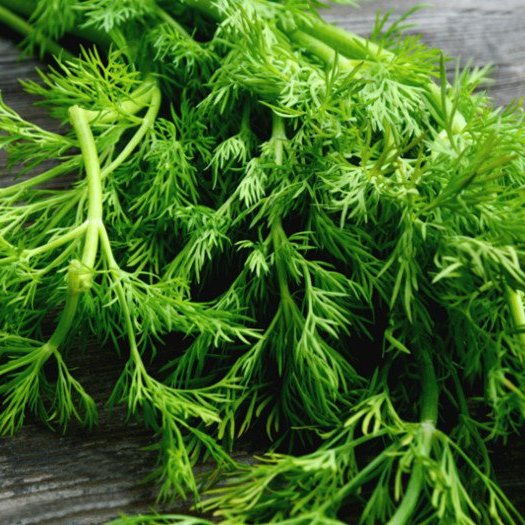 سبزی شوید تازه خرد شده خانگی 500گرمی