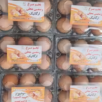 تخم مرغ محلی ارگانیک بسته بندی 6عددی و 