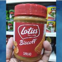 کرم بیسکویت لوتوس